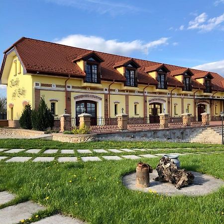 Kastely Grof Zichy Otel Haniska Dış mekan fotoğraf
