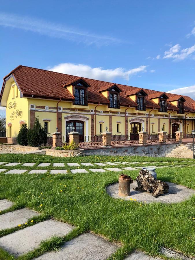 Kastely Grof Zichy Otel Haniska Dış mekan fotoğraf