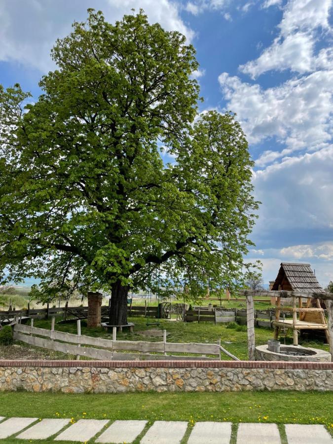 Kastely Grof Zichy Otel Haniska Dış mekan fotoğraf